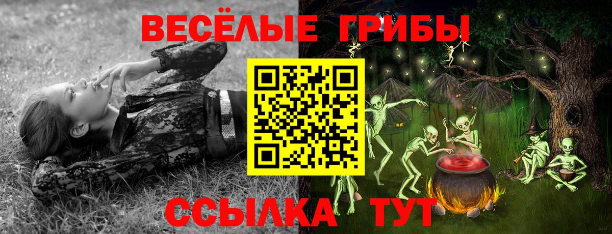 как найти наркотики  Псилоцибиновые грибы прущие грибы  Галлюциногенные грибы Magic Shrooms  Вход с VPN  Большой Камень 